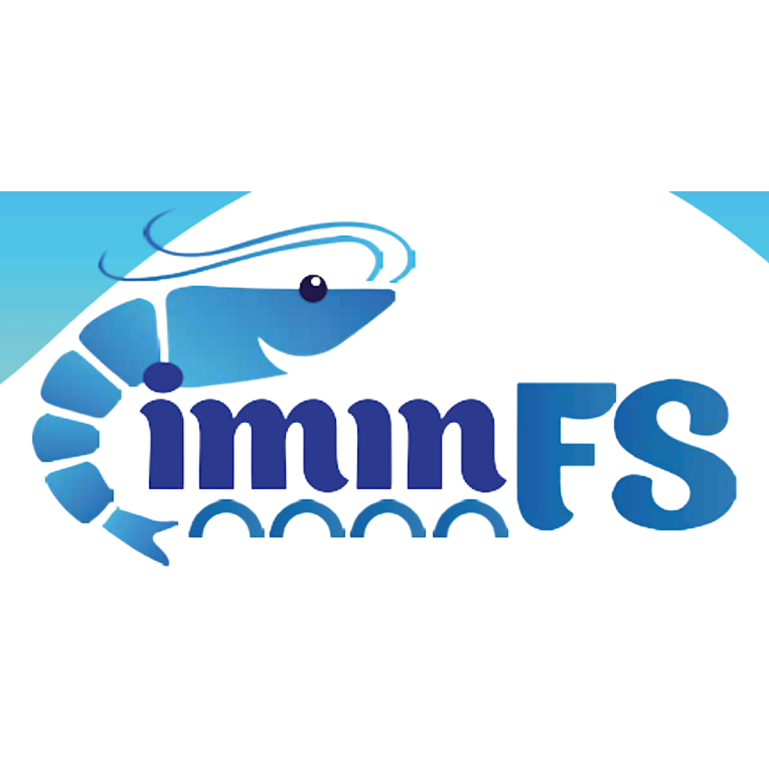 iminFS